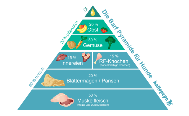 BARF Futterpyramide für eine Artgerechte Fütterung